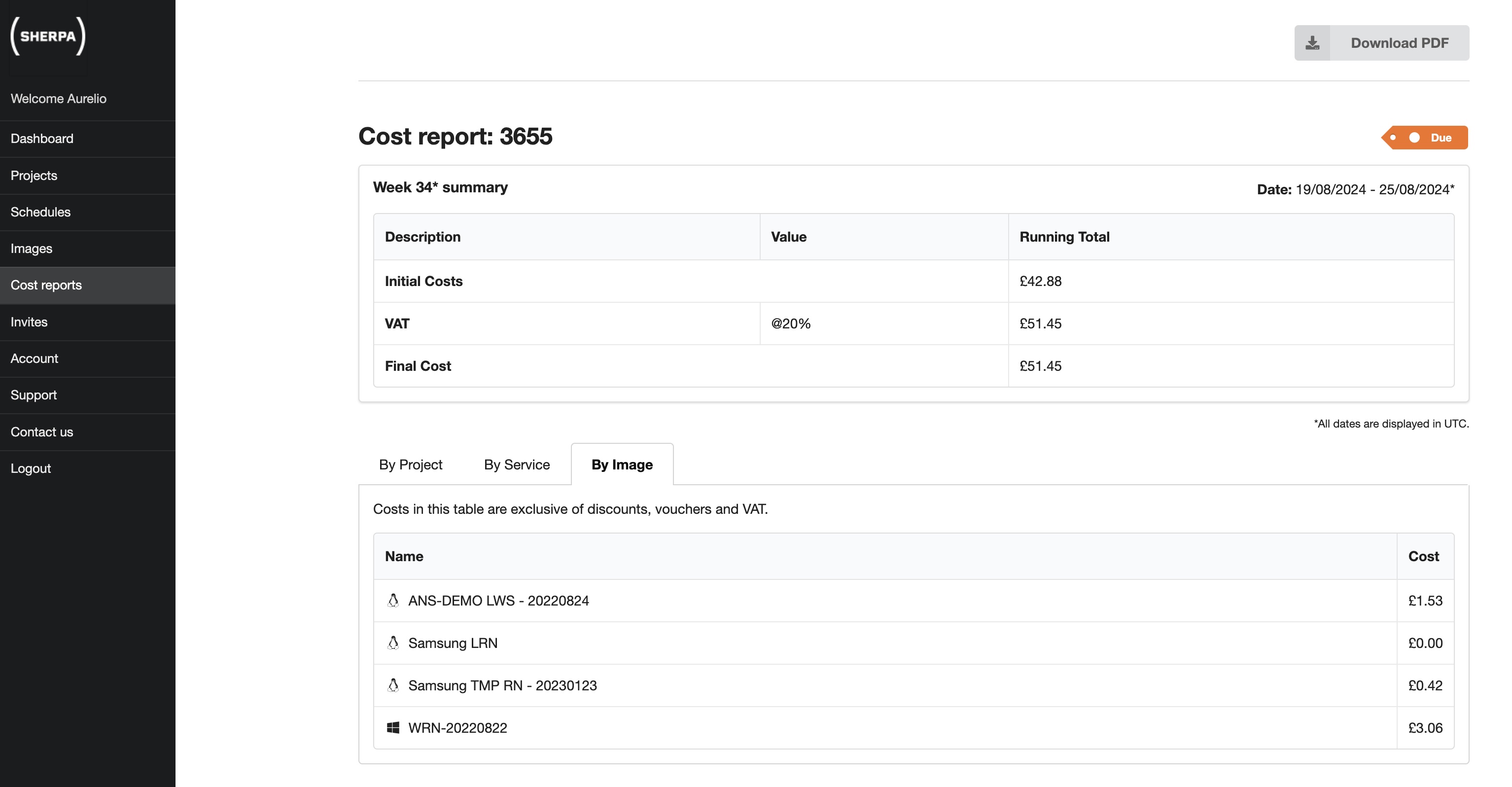 images-in-cost-reports